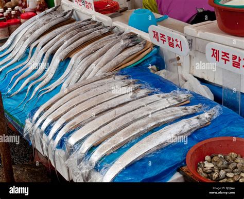 ipusan fish|All the Must.